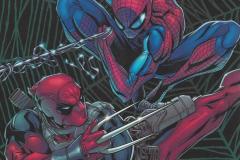 1997-2013-Spider-Man-Deadpool-Geteiltes-Leid