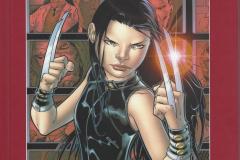 DSS-X-23