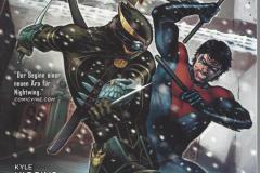 2012-06-Nightwing-2