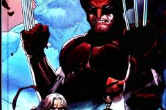 2022-12-Wolverine-Der-Beste-5-Im-Zeichen-des-Biests