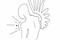 Engel