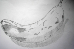 Banane (Bleistift auf Papier, 59,4 x 42 cm)