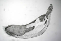 Banane II (Bleistift auf Papier, 59,4 x 42 cm)