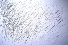 O. T. (Bleistift auf Papier, 59,4 x 42 cm)