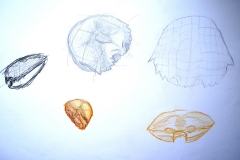 Skizzen (Versch. Techniken auf Papier, 59,4 x 42 cm)
