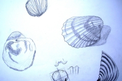 Skizzen (Bleisift auf Papier, 59,4 x 42 cm)