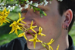 Blumen-H-1