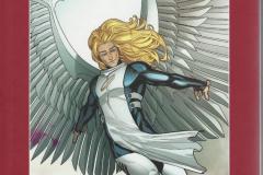 DSS-Angel