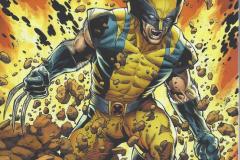 2018-11-Die-Rueckkehr-von-Wolverine