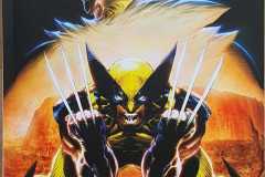 2024-09-Wolverine-Narben