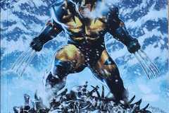 2024-11-Wolverine-1-Ruf-der-Wildnis