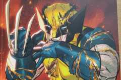 2025-04-Wolverine-2-Toedliches-Gold