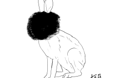 DN_Hase1