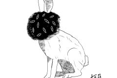 DN_Hase2a